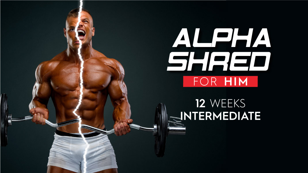 ALPHA SHRED